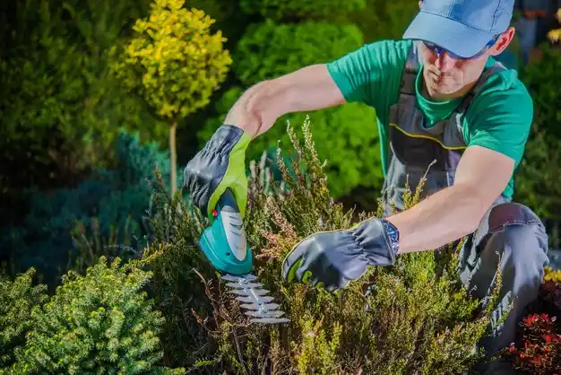 landscaping services Osage Beach